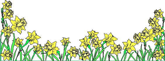 DAFFODIL LINE.gif (12002 bytes)