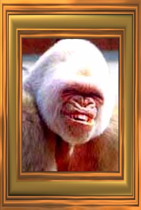 gorilla_smile framed.jpg (26855 bytes)