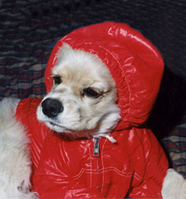 FAITH IN RAIN COAT.JPG (40463 bytes)